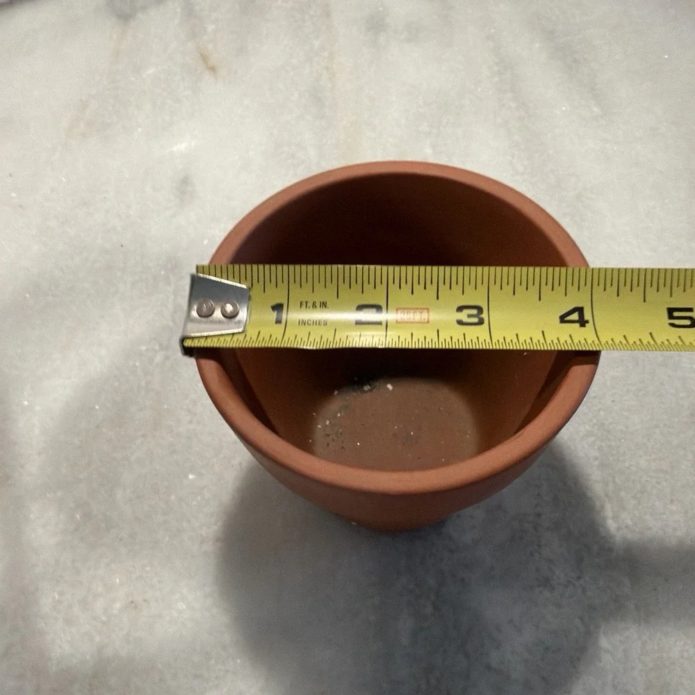 Vintage Wrought Iron Planter With Terra Cotta Pots